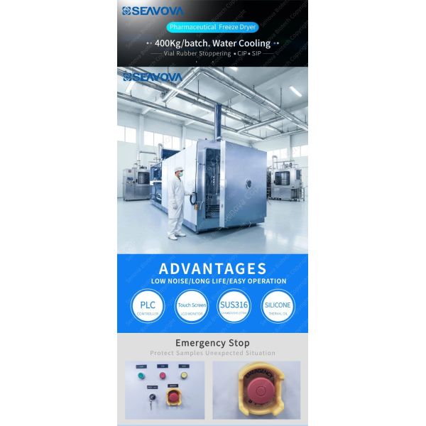 40m2 Area Pharmaceutical Freeze Dryer For Probiotic , Pharmacy