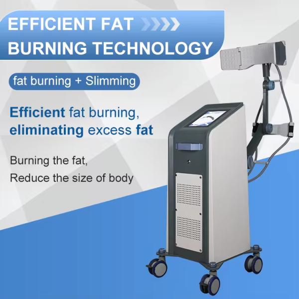 Бесконтактная площадь тела Снижение жировых отложений Скульптура тела Устройства для похудения для домашнего использования и салона красоты