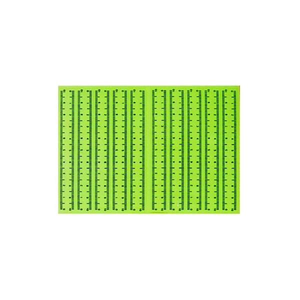 P095 Transparent sticker photographic evidence scale