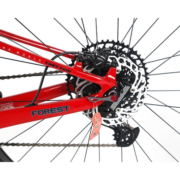 горный велосипед подвеса волокна углерода 29er полный с автошиной MAXXIS