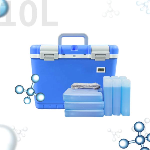 Hot Sale Portable Cooler Box Different Capacity Cold Chain Transport Box With Temperature Display