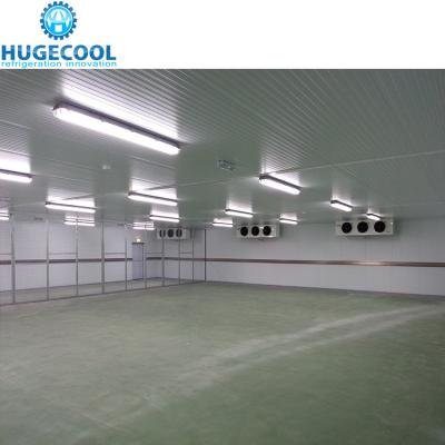 Sala fria do painel modular pré-fabricado do plutônio