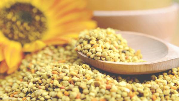 Pólen misto fresco Pólen de abelha cru Alimentos nutritivos Pólen de abelha natural grande granual