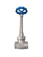 Válvula de globo criogénica de acero inoxidable del manual DN40 para LN2