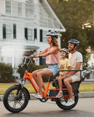 German Warehouse HovCart EU/US/AU Stock Electric City Cargo Bike for Two Children with Protection Seat Torque Sensor Fat Tire