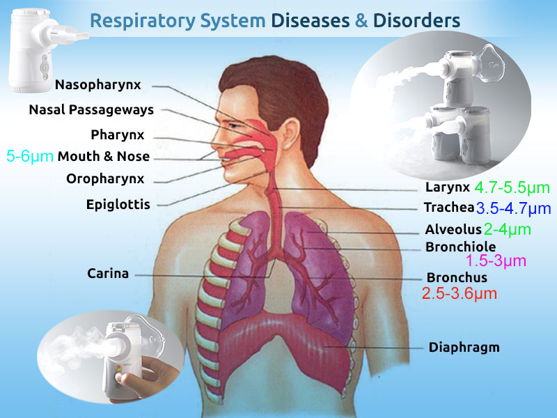 машина Nebulizer сетки 0.5μm до 3.6μm вибрируя для дыхательных путей