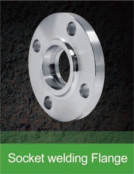 Stainless Steel SA-182 F 304 316 Pipe Flange Customized Size