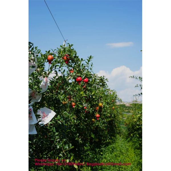 Custom Fruit Protection Bags Double-Layer Thickened Paper Bags Universal For Pear & Apple Trees Factory Wholesale Protection Bags Sunproof, Insect & Disease Resistant