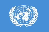 Finished Double-stitched United Nations Flag Canvas Header Two Brass Grommets