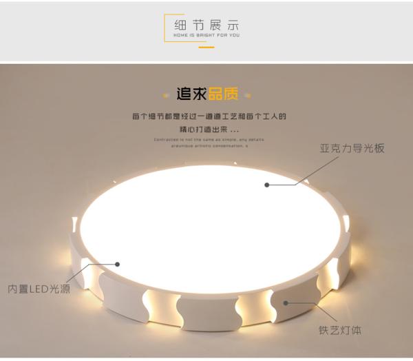 2018 new fashion simple modern indoor ceiling lamp