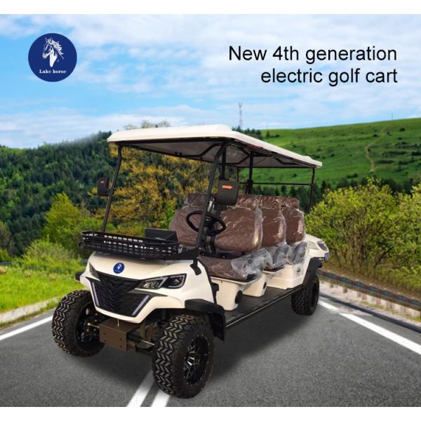 Equipped Standing Position of Tail Caddie Custom Electric Golf Car for Discount Sales