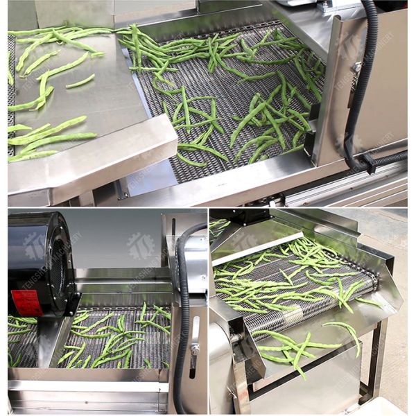 Стирка пузыря технологической линии фрукта и овоща 1000KG/H и вибрируя засыхание