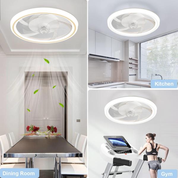 16.5 Inch Modern LED Ceiling Fan Light with Remote Control Chandelier Style DC Motor for Living Room Bedroom Home Decoration