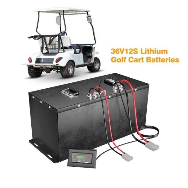 Lithium Automotive LifePo4 Golf Cart Battery Pack 36v 100ah With APP Control