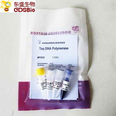 Polimerase de ADN de Taq para PCR P1013 1000U
