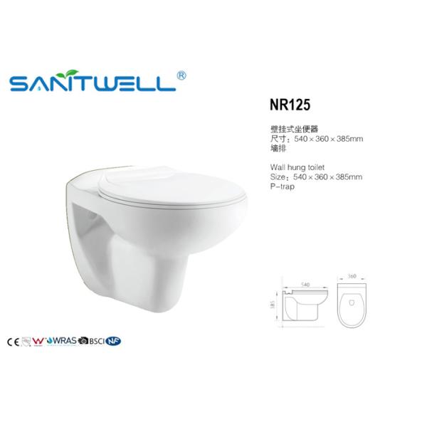 540*360*385 mm NR125 Wall Hung Toilet In Living Room White Color Washdown Rimless