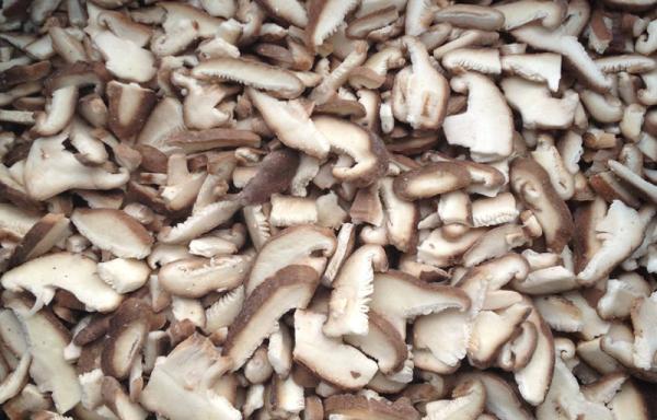 Bulk IQF Frozen Shiitake Mushroom Hot-selling