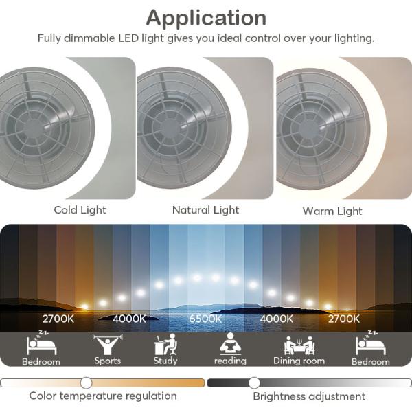 Material do corpo metálico 20 