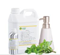 Shampoo de hortelã-pimenta Fragrâncias de hortelã-pimenta Fragrância para fazer shampoo perfumado