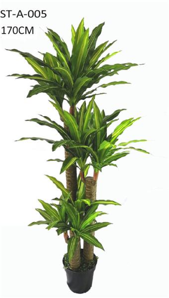 SGS / ISO Artificial Dragon Tree 135CM 175CM Artificial Dracaena Tree Heads