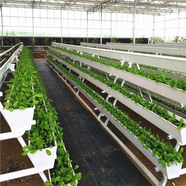 Sistema de cultivo hidropónico de morango Plantação vertical Cultivo de canaveira de PVC em ambientes internos para casa