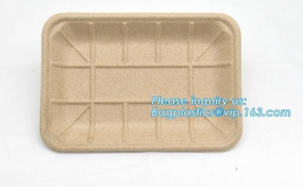 Dishes Plates Eco Friendly Dinnerware Blister Packaging Resturant Serving Tray