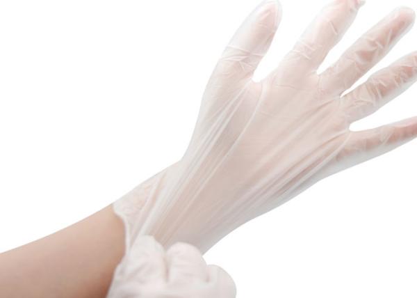 Powder Free Disposable PVC Gloves No Allergies Strong Versatility Flexible Operation