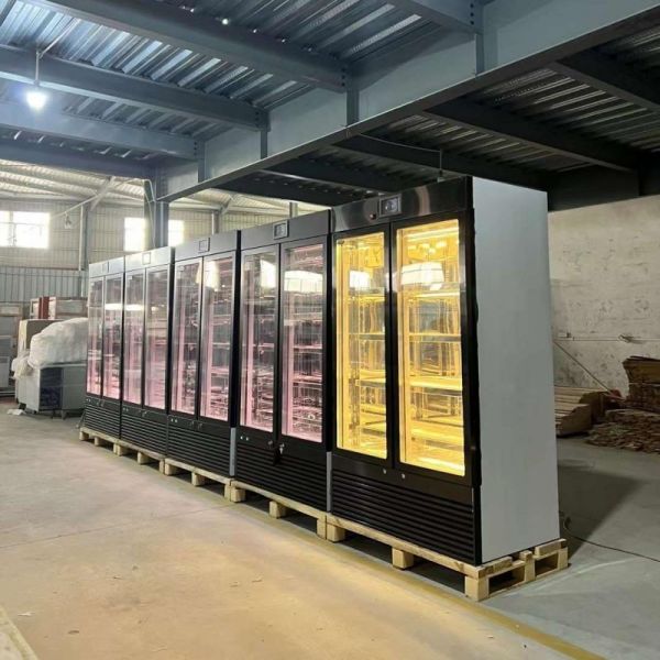 Steak Age Meat Maturing Fridge Dry Aging Machine 2 Doors