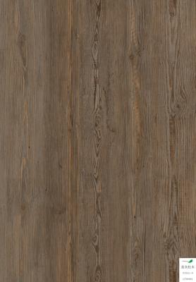 SCS LVT Vinyl flooring Waterproof And Fire Proof Non-Slip  Tc7011-8