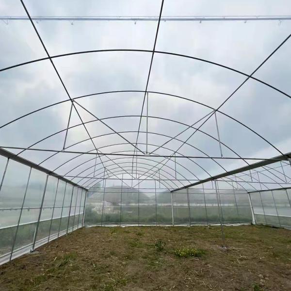 High Tunnel Multi Span Greenhouse Plastic PE Film For Strawberry