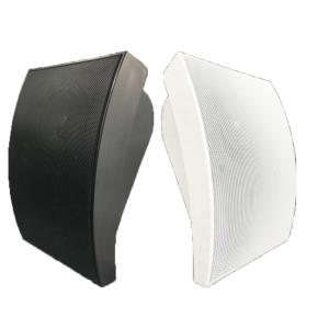 5W 10W Wall Speaker 4 Inch Woofer 1 Inch Tweeter ABS Speaker