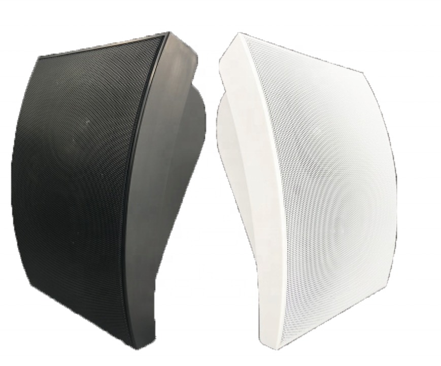 5W 10W Wall Speaker 4 Inch Woofer 1 Inch Tweeter ABS Speaker