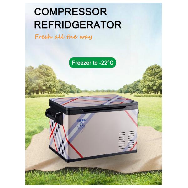 Réfrigérateur cosmétique portable de 17 kg pour camions de camping-cars DC 12v 220v réfrigérateur à insuline domestique