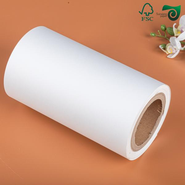 FSC White Coated CAD Plotter Rolls  80gsm 914mm  50 Yards  5 Roll Carton