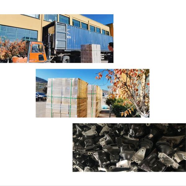 Suspension Strut Support Bearing Renault Clio Engine Mount 7700827435