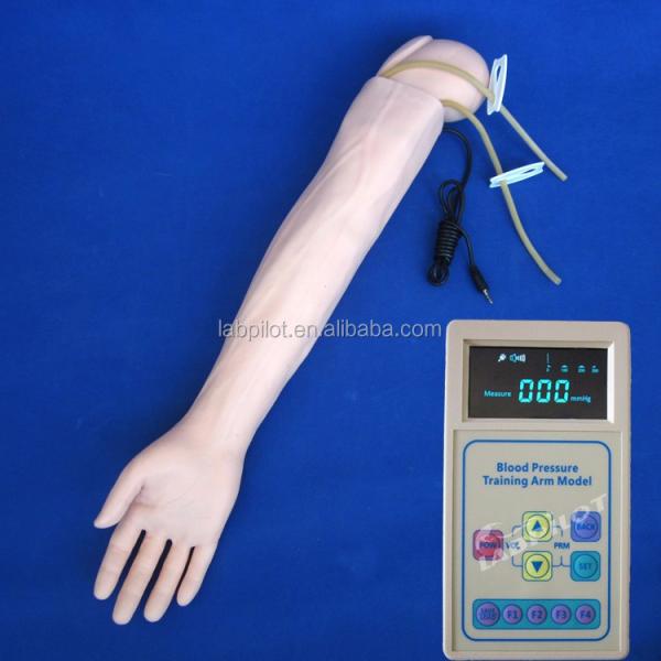 Advanced Blood Pressure Training Arm Simulator Model for Clinical Nursing Practice