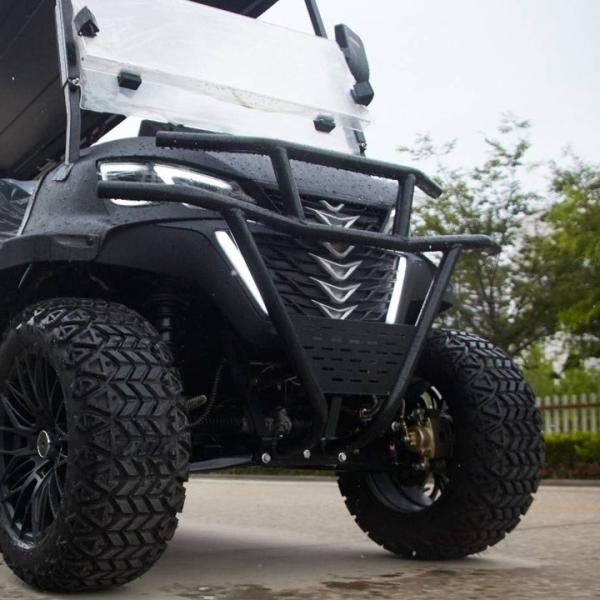 Brand New Lead Batteries EV Golf Cart Street Legal CE Approved Electric Golf Cart For Scenic Spots