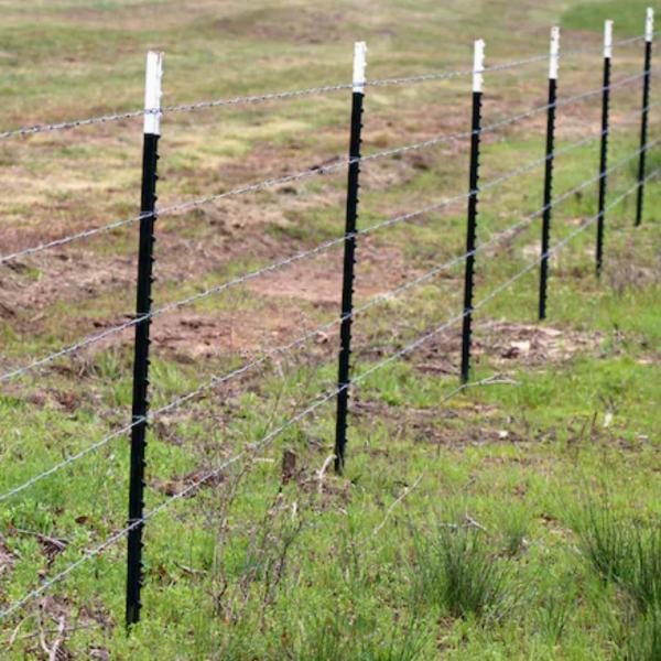 Fermeture en métal peinte en vert T Post 6,5 pieds de fermeture en acier enduite en poudre enduite