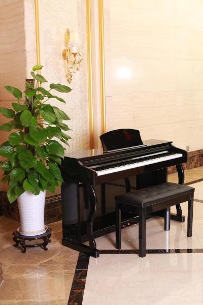 Where to supply durable electric piano:  manufacturers Custom Digital Musical Electronic Instrument Organ Keyboard Piano