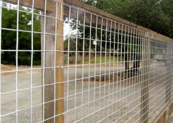 Hot Dipped Galvanized Welded Wire Mesh with 1/4 Inch - 6 Inch Mesh Size for Agriculture and Animal Husbandry ISO9001 Certified