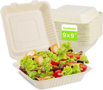 6-10 Inch 9x6 Biodegradable Disposable Fast Food Packaging Sugarcane Lunch Food Container Takeaway Box