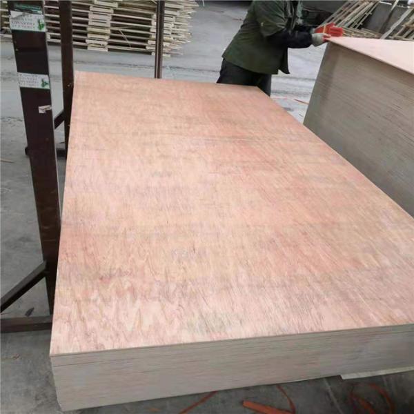 Apartment Bintangor Core 7 Ply Greenpanel Plywood