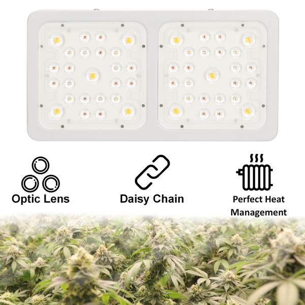 C200 High Penetration COB LED Grow Panel , Indoor House Plant Grow Lights