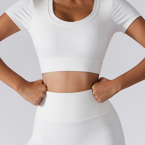 Oem Factory Manufacturer Custom Logo Crop Top Fast Dry Midriff Baring Shirts
