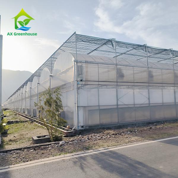 Filtro resistente aos raios UV para a agricultura