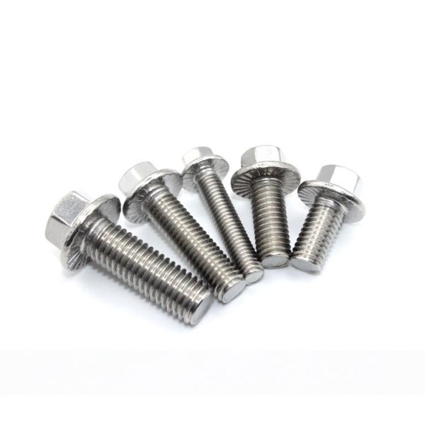 M10 Flange Head Bolt with Hexagon Din6921 and Custom Standard Made of Stainless Steel