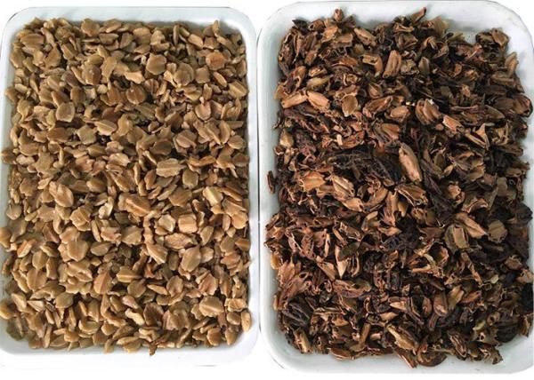 Ten Chutes Hot Selling CCD Color Sorter Machine For Walnut Sorting