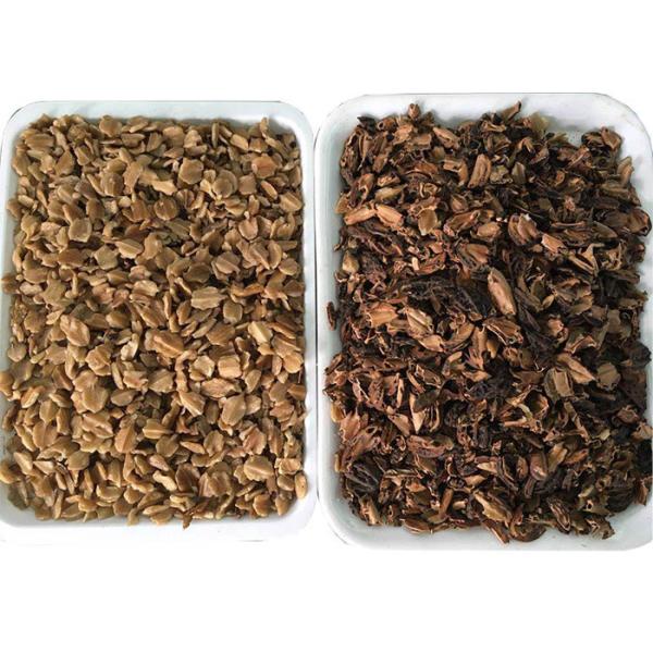 White Green Mini Walnut Bean Color Sorter Intelligent CCD Camera 1 Channels