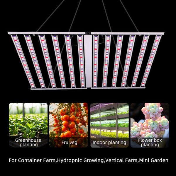 Commercial plein spectre à deux voies UV IR 4x6ft 12 Bar 1300 Watt LED Grow Plant Light pour l'agriculture en serre à l'intérieur
