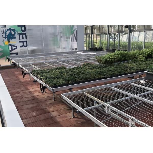 Flower Rolling Grow Benches Lightweight Greenhouse Bench Systems Customized